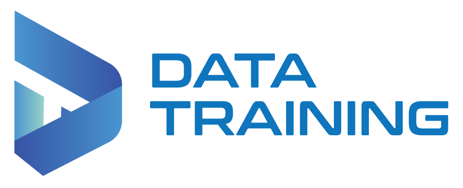 Data Training Logo
